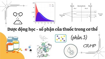 [DƯỢC LÝ] - Bài 2: Dược động học - số phận thuốc trong cơ thể (P.3)| PGS.TS. Dương Xuân Chữ _ CTUMP.