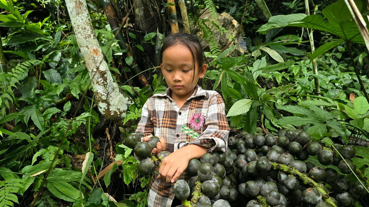 The orphan girl went into the forest to pick fresh fruit to sell at the ...
