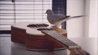 Famous Interstellar meme 4 except instead of interstellar meme 4 its not Profile