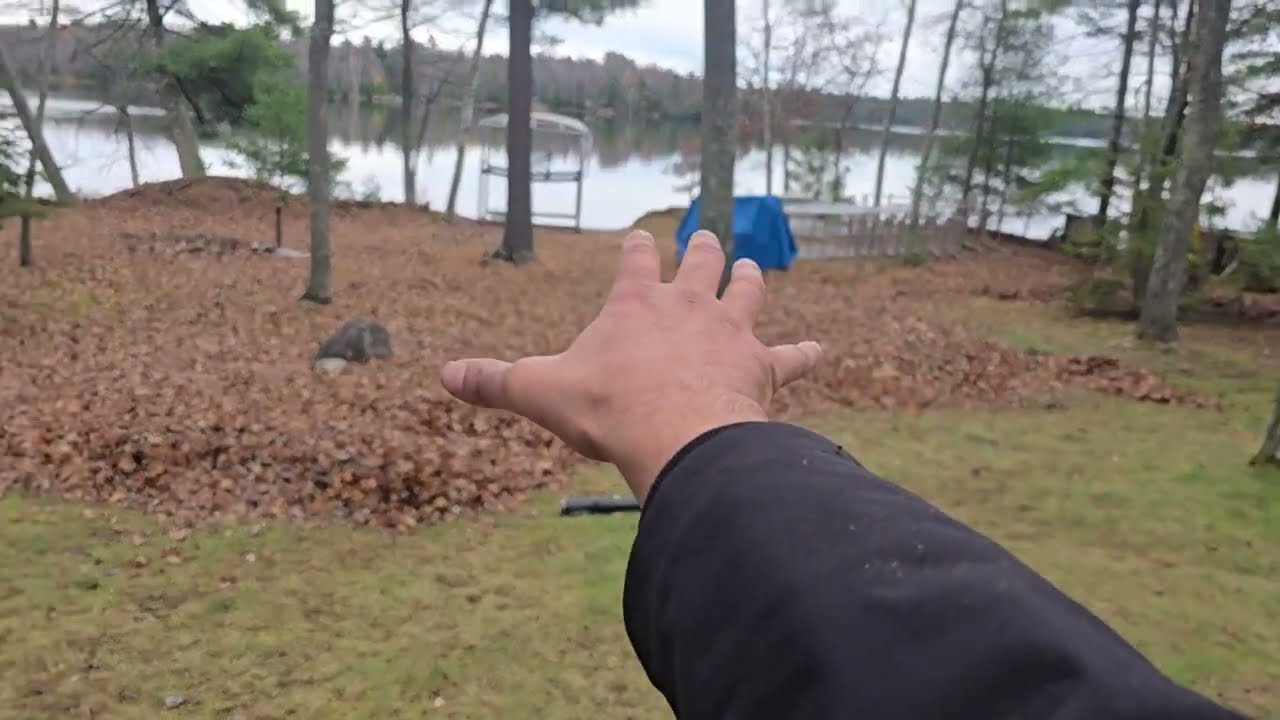 Echo pb-8010H backpack blower doing work 💪  Easy money 