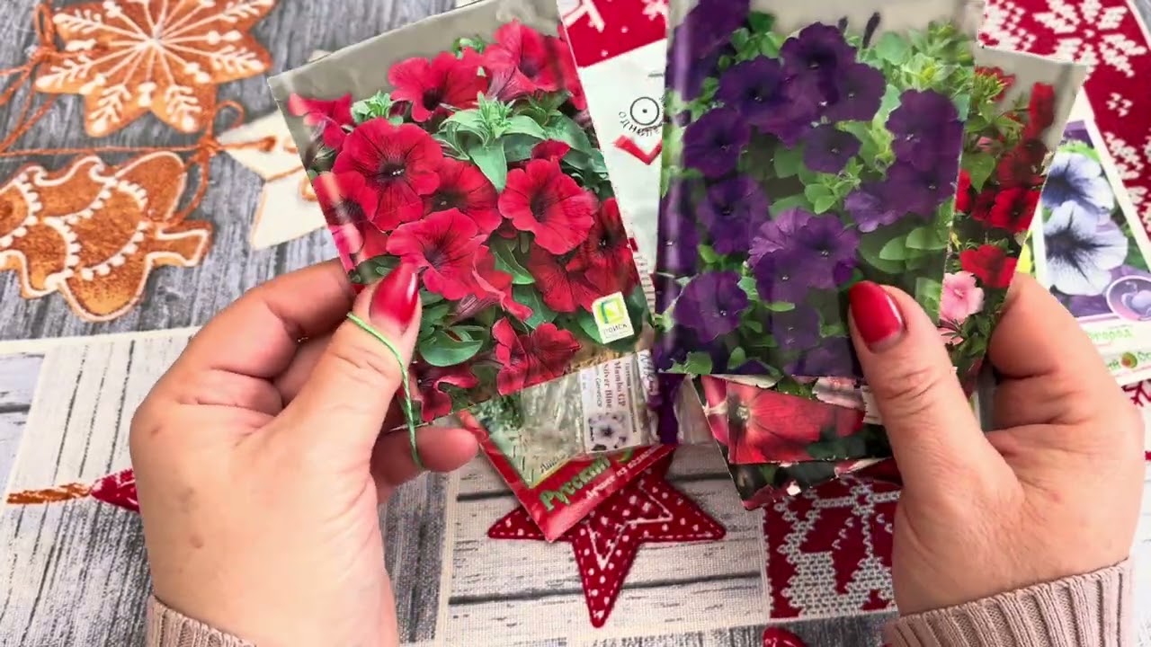 ОБЗОР СЕМЯН ЦВЕТОВ КОТОРЫЕ БУДУ СЕЯТЬ В 2026 г.