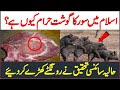 Islam Men Khinzeer Ka Goshat Haram Q | Scientific Research | خنزیر کا گوشت | AR Videos