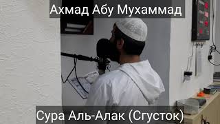 Ахмад Абу Мухаммад Сура Аль-Алак (Сгусток)