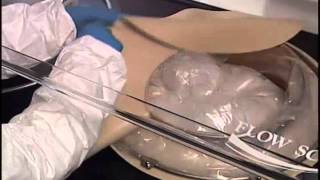 FSI Bulk Powder How To
