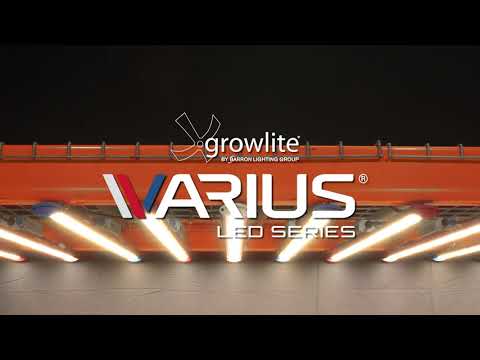 VARIUS® LED - video from Growlite