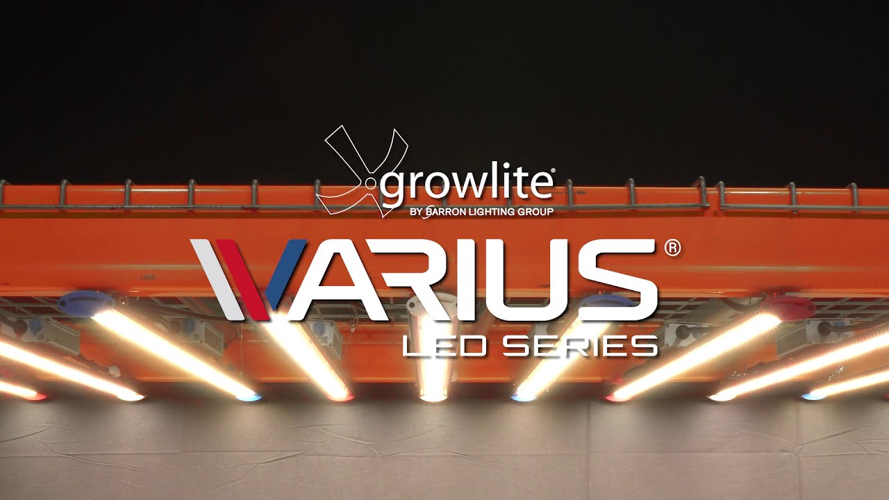 VARIUS® LED - YouTube