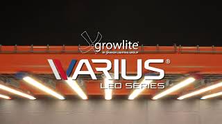 VARIUS® LED