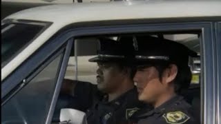 Police chase Five-0 style