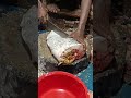 #fishcutting #seafoodprep #lifeisbutadream #seafood #fish