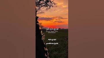 قران كريم ارح قلبك وسمعك #قران #المصحف #سعد_الغامدي #راحة_نفسية #quran @قران_في_دقيقة #لايك