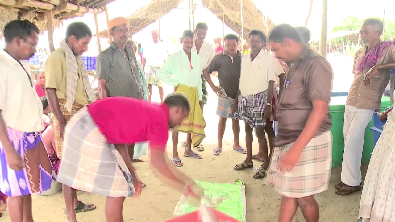 India: Fishing For Freedom (Chinese)