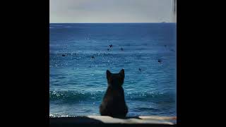 Free Surf Curse X Indie Rock Type Beat 0670