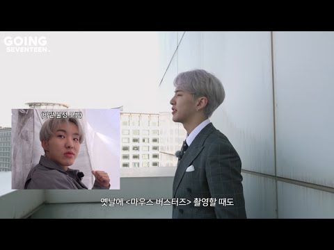 [세븐틴] 시골쥐 호시 도시쥐 호시