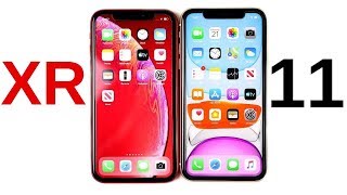 Should You Buy iPhone XR or iPhone 11?