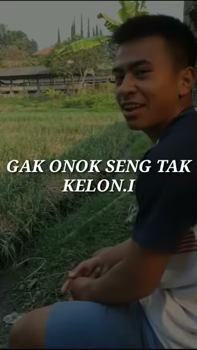 Status wa guyonan jowo😅 #3