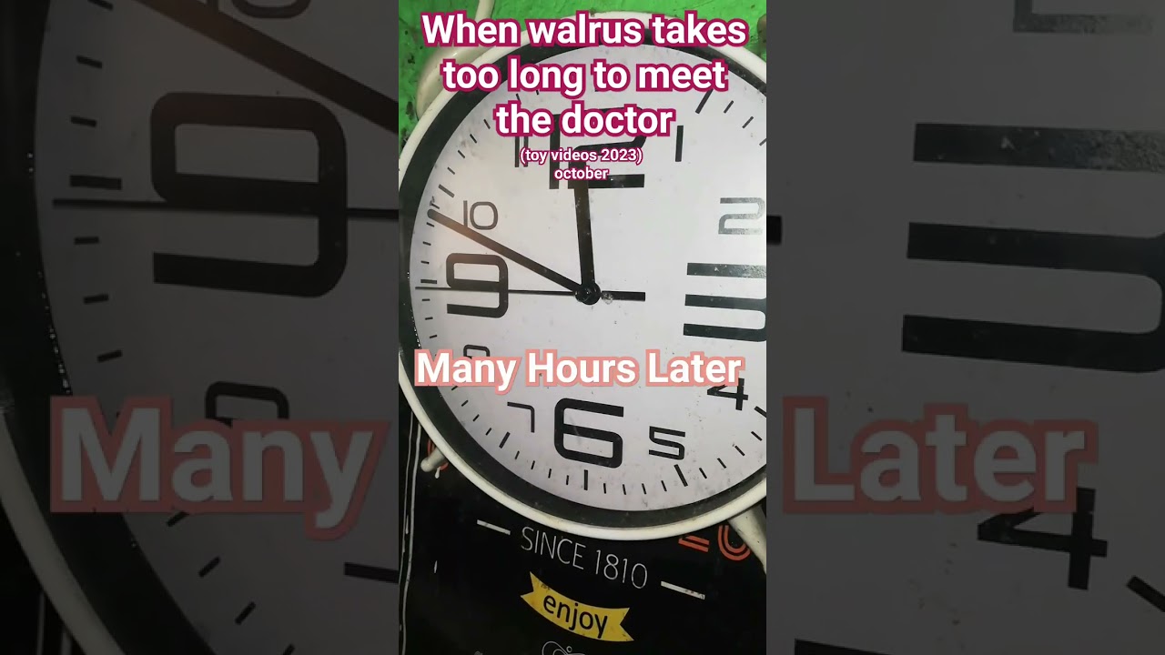 When walrus takes too long to meet the doctor (toy videos 2023 October)