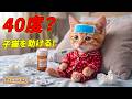 【緊急】子猫ここにゃんが40度の高熱！？ひとりでおかゆを作って薬を買いに行った結果…😿🌡️