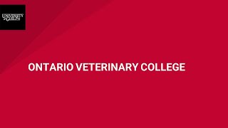 The Ontario Veterinary College Fall 2021 Roll Call