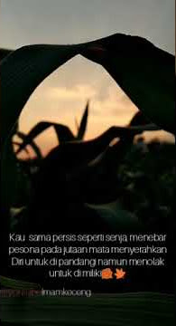 Literasi 30 detik penikmat senja keren