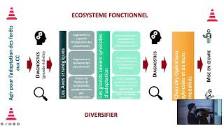 Migration assistée d’essences exotiques et continuité écologique, par Médéric Aubry