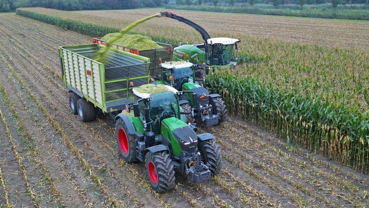 Mais Silage 2025 | Fendt Katana 650 | BMWW Agriservice