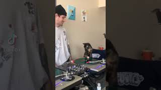 Download Lagu Meet DJ Penny P😂 MP3 Download Lagu Meet DJ Penny P😂 MP3