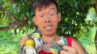 Simple Video | Smart Boy Catch the Frog Cooking Food | Video Footage 