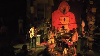 Electric Zoo - The Weight Of The Load (Live in Samar)