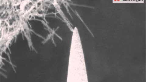 Imina Technologies: manipulation of nanowires