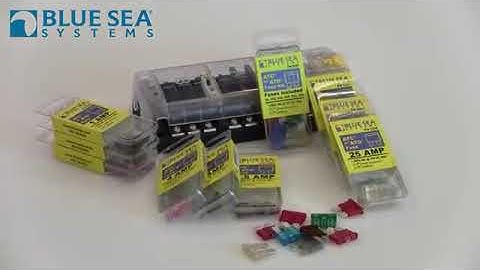 Split Bus Fuse Block