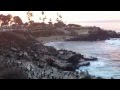 IMG 1599