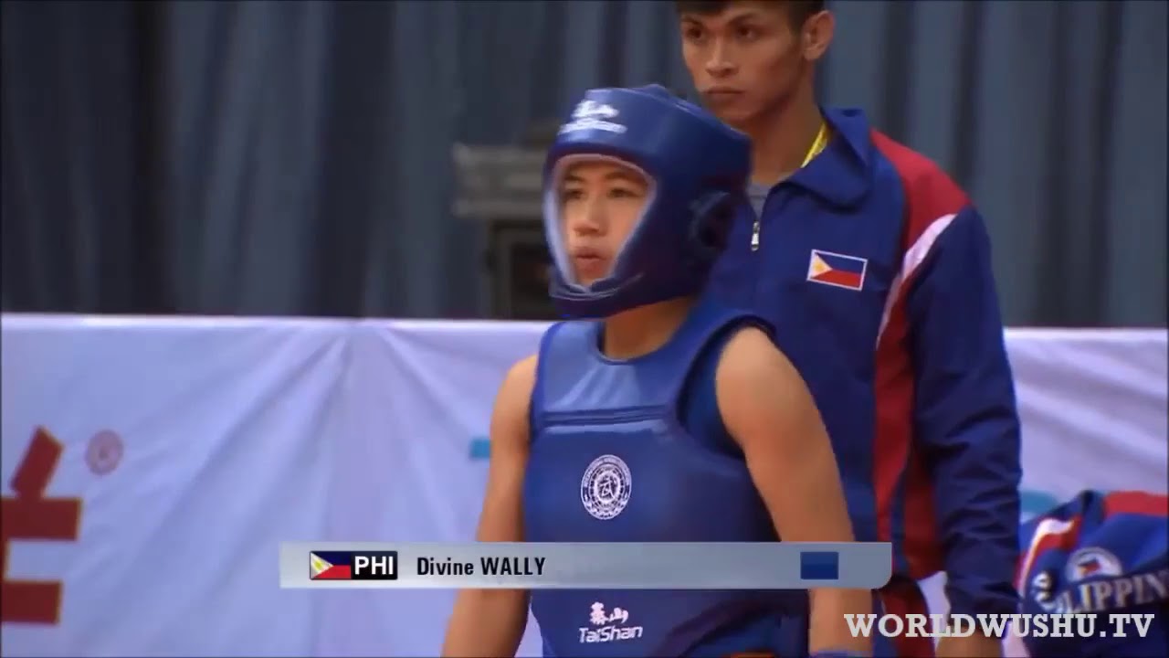 Wushu Sanda World Cup - promo