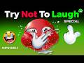 BEST OF THE WEEK🤣 Try Not To Laugh Challenge (IMPOSSIBLE 🥵) - You Laugh You Lose Part 142!!