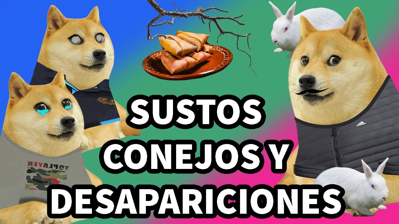 SUSTOS, CONEJOS Y DESAPARICIONES / 3 EN 1 Hilos con cheems