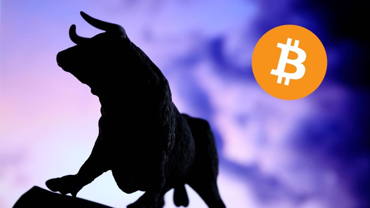 bull run 2024 crypto YouTube