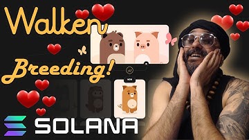 Walken Breeding - News - Make Money while walking! Solana NFT