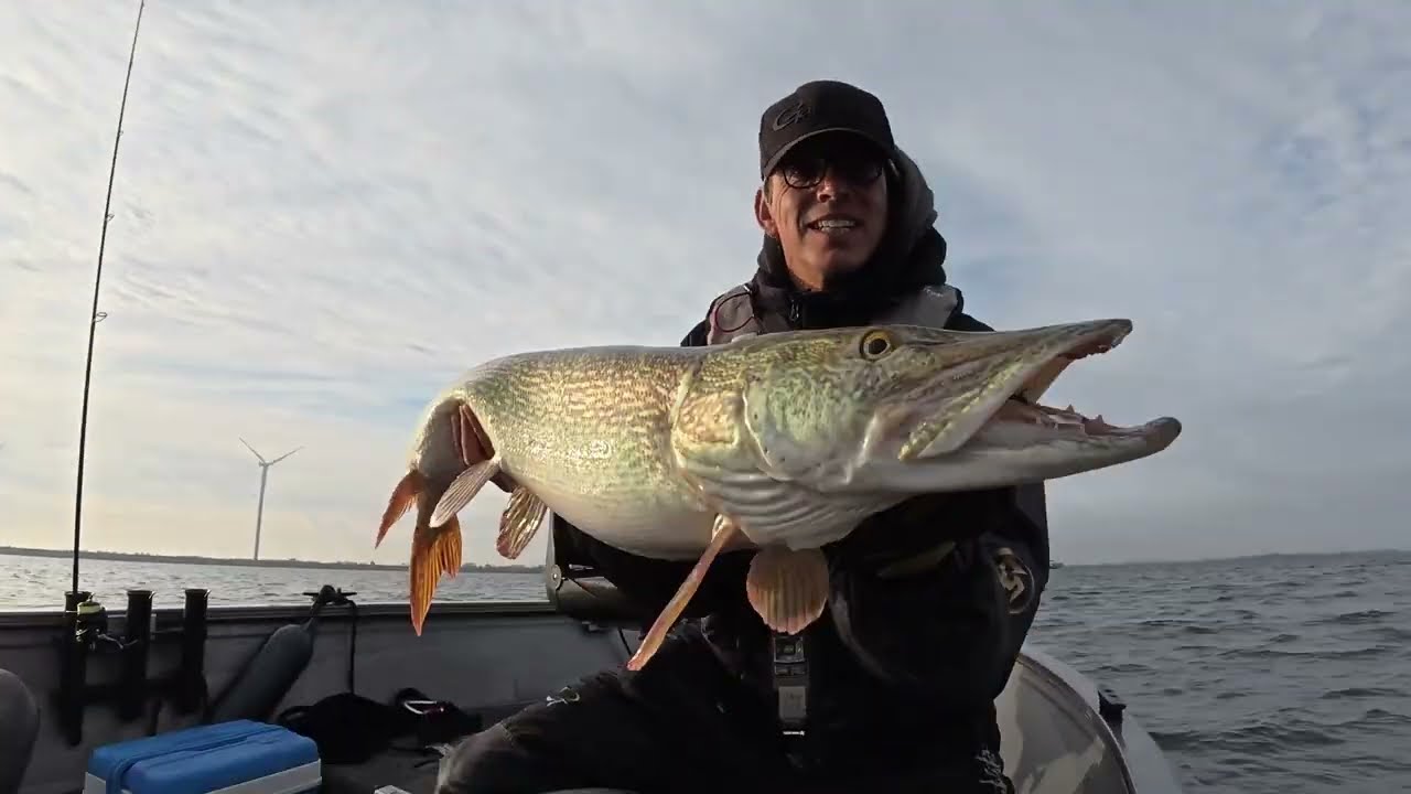 Thom Prüst mit ein Volkerak monster Hecht