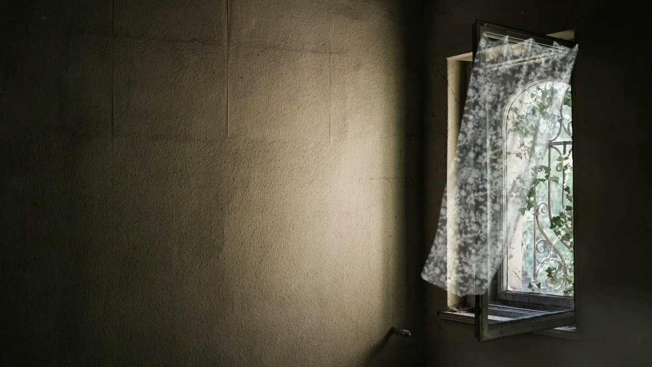 Background Video Tirai Jendela Tertiup Angin