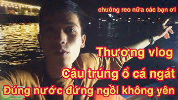 Câu cá ngát / cá ngát dính lưỡi chui hang  gốc làm cách nào bắt được | cách bắt cá ngát chui hang