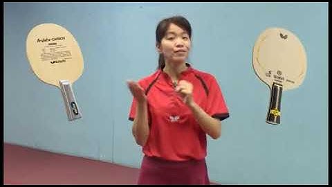 Ask The Experts - Blade Recommendations For Butterfly Dignics 09C