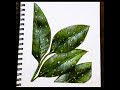 Water Droplets on Leaves Acrylic painting on Sketchbook