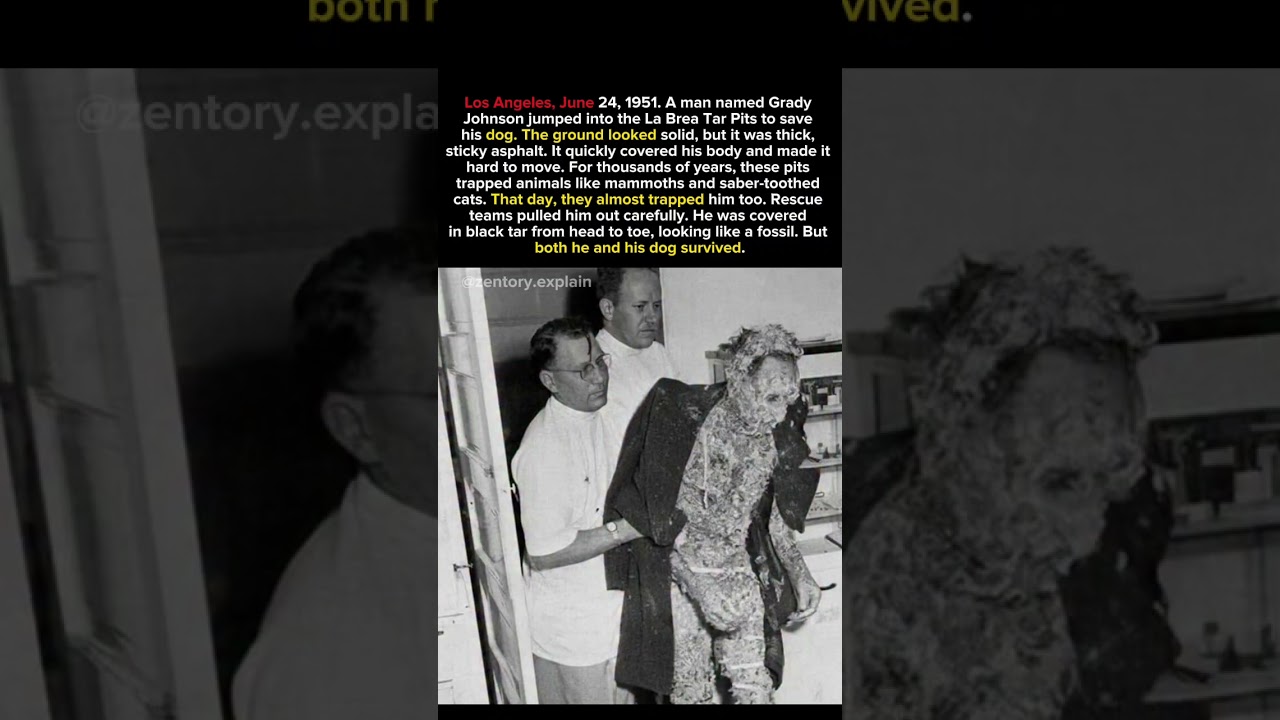 He Jumped Into a Tar Pit to Save His Dog