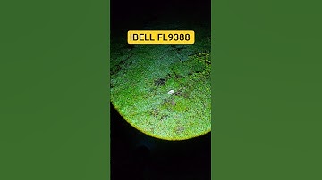 IBELL FL9388 #vishalsaxena #torch #torchlight #flashlight #torchtower #led #flashlight #flash