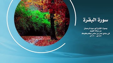 ما تيسير من سورة البقرة بصوت القارئ ابو عبدالرحمن | HD