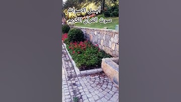 قران كريم😍🤲 بصوت جميل للشيخ اسلام صبحي#المصحف #اكسبلور#راحة_نفسية #اكسبلور #راحة_نفسية 😍 #dosa
