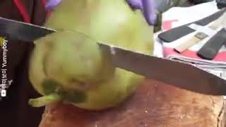 Kupas Kelapa Muda. Kelapa Pandan