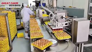 Poultry farm egg collection unit, egg sorting equipment #greatfarm