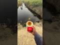 JBL Go 4 Waterproof Test -Can let Survive