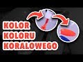 Quloo | #28 Kolor koloru koralowego - czyli kolejne testy z serii 12 kolorów jak 12 miesięcy