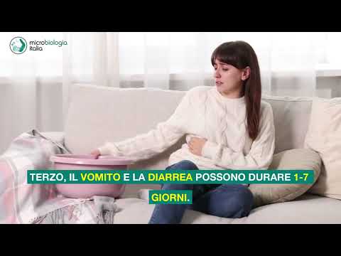Video Salmonella nelle uova: come riconoscerne i sintomi